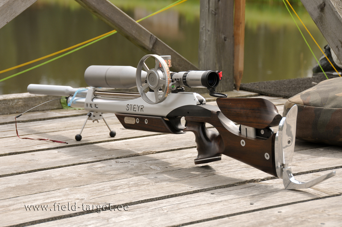 Steyr LG110 FT Custom